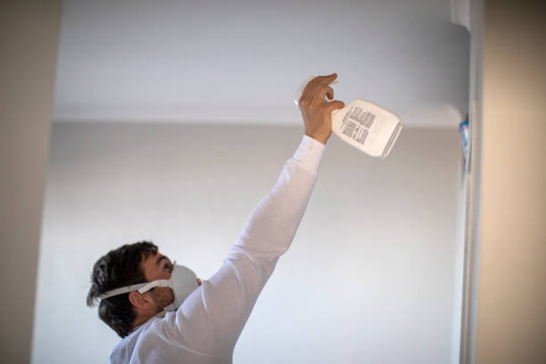 Best Same-Day Mold Removal  in Macopin, NJ