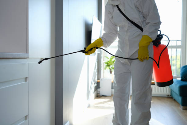 Best Toxic Mold Removal  in Macopin, NJ