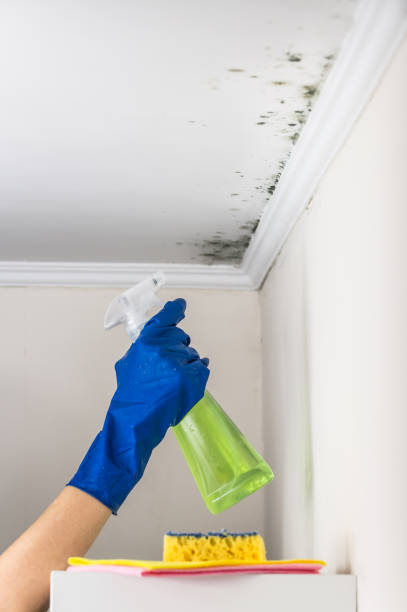 Best Certified Mold Removal  in Macopin, NJ